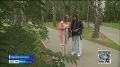 "Стыдно приглашать друзей в Нижний Новгород!" - пишут нам зрители на горячую линию Глаз народа