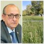 «Хватит быть иждивенцами» — депутат из Городца предложил родителям самим приводить в порядок детскую площадку