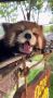 Доброго утра!. Прислать новость @gtrk_nn
