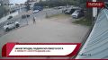 Какой-то редиска нехороший человек подбросил в приют «Сострадание-НН» своего кота