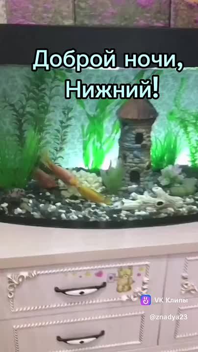  , !