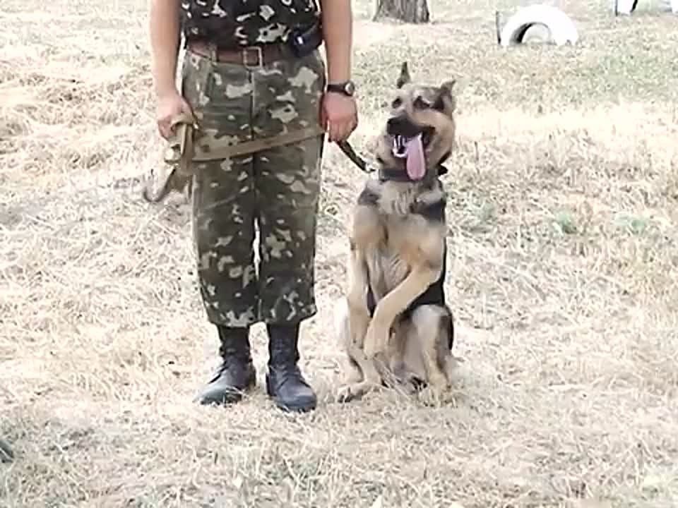 , 2 ,       , ,        