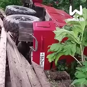 ,     ,         