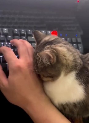 ...   !