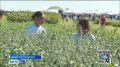 Выставка агротехнологий и сельскохозяйственной техники