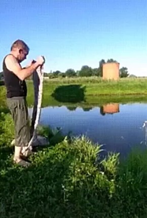     ? 30-    