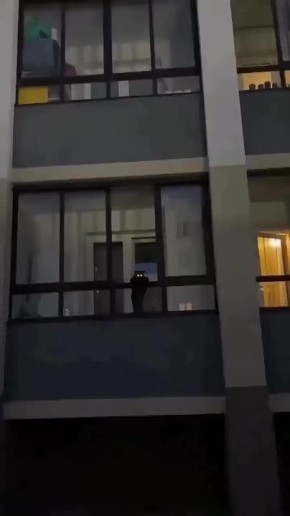     ,    