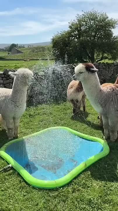  !    