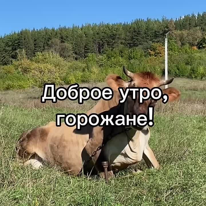  , !.     :  +10, , ...+17..., ....+12, 