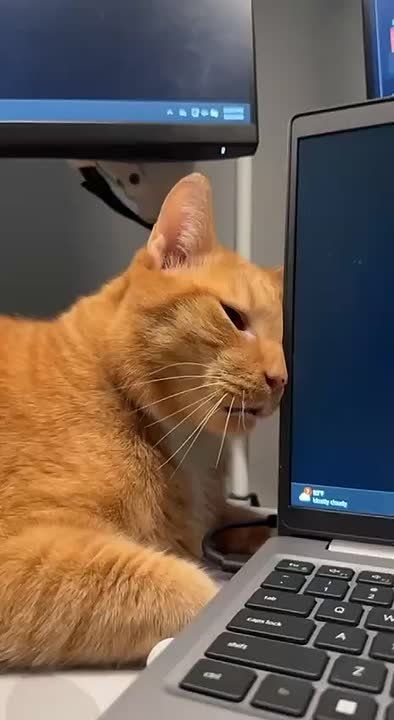  ! ?.    ,       