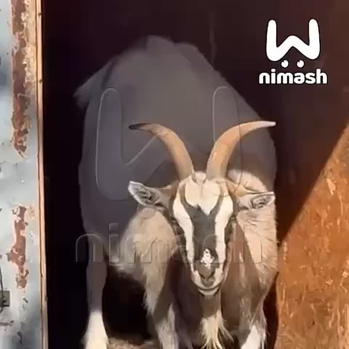             &quot;&quot;   