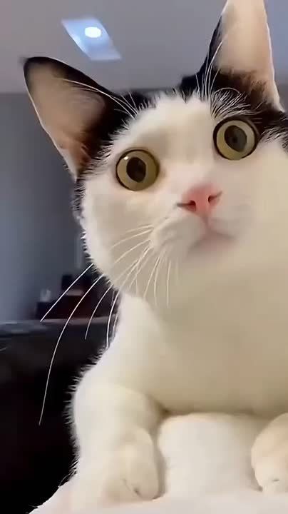   ?  ,     !