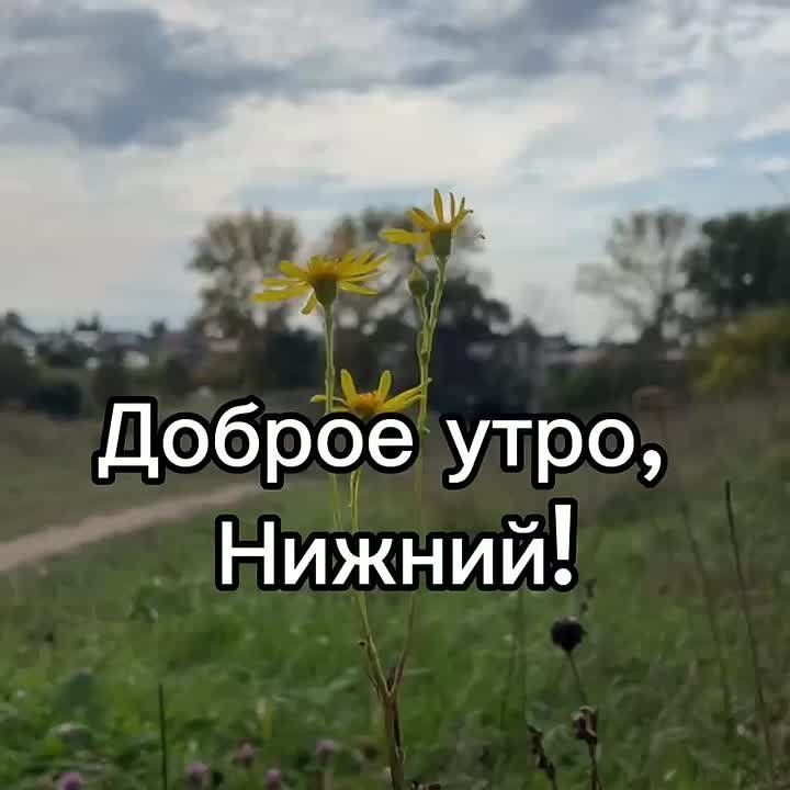  , !.     :  +13, , ...+19..., ....+17, 