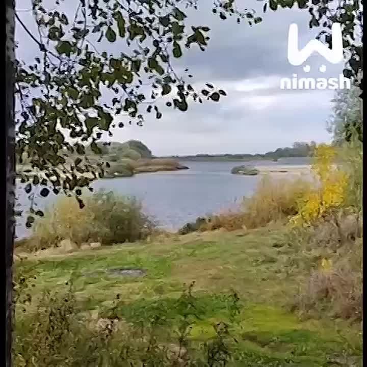 ,         ,    