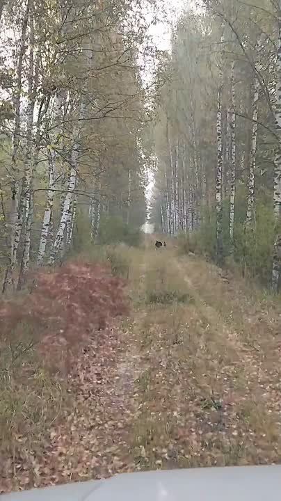 &quot;&quot;       