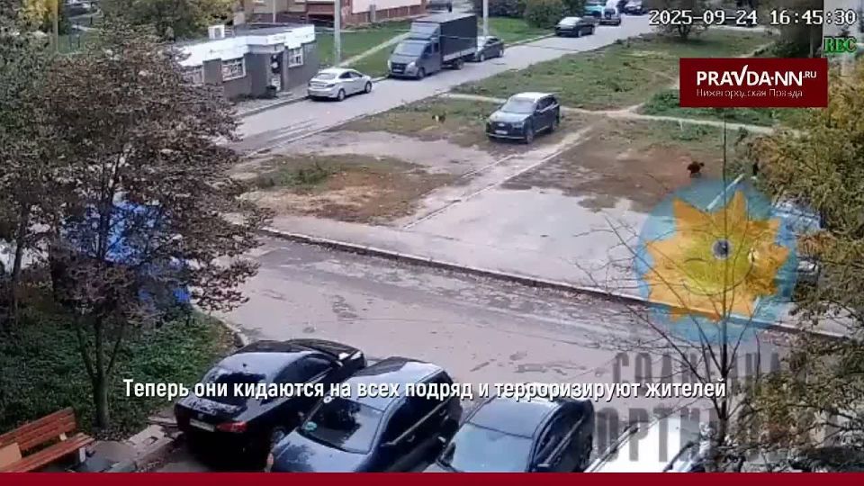                !