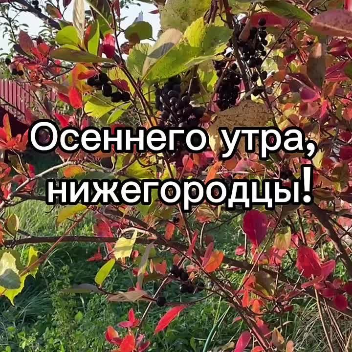  , !.     :  +6, , ...+9... , ....+9, 