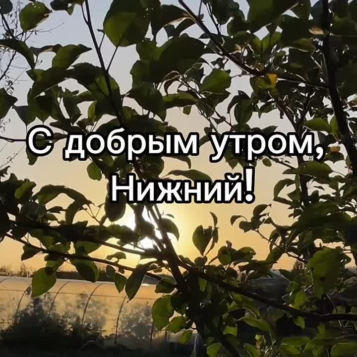  , !.     :  +7, , ...+11..., ....+10, 