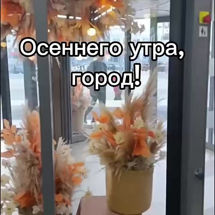  , !.     :  +79, , ...+11..., ....+8, 