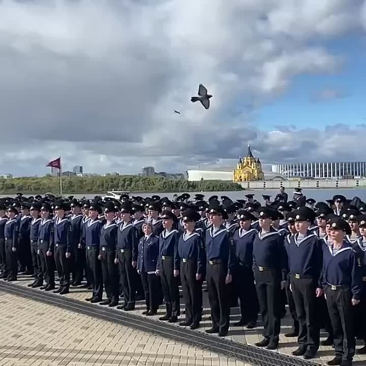   ?!    !