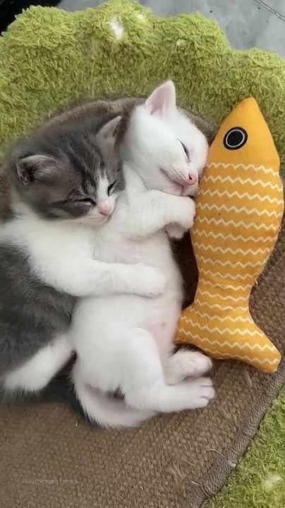       !