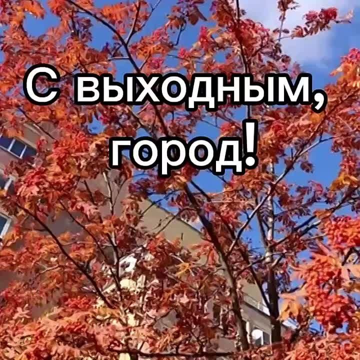     :  +5, , ...+9..., ....+7, 