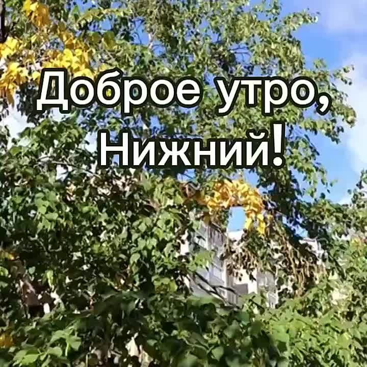     :  +4, , ...+13..., ....+8, 