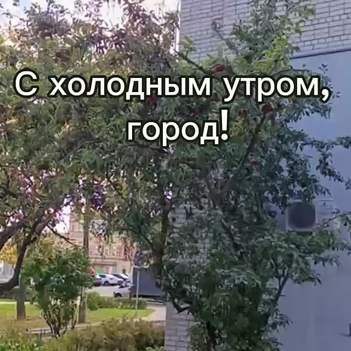     :  +5, , ...+12..., ....+8, 
