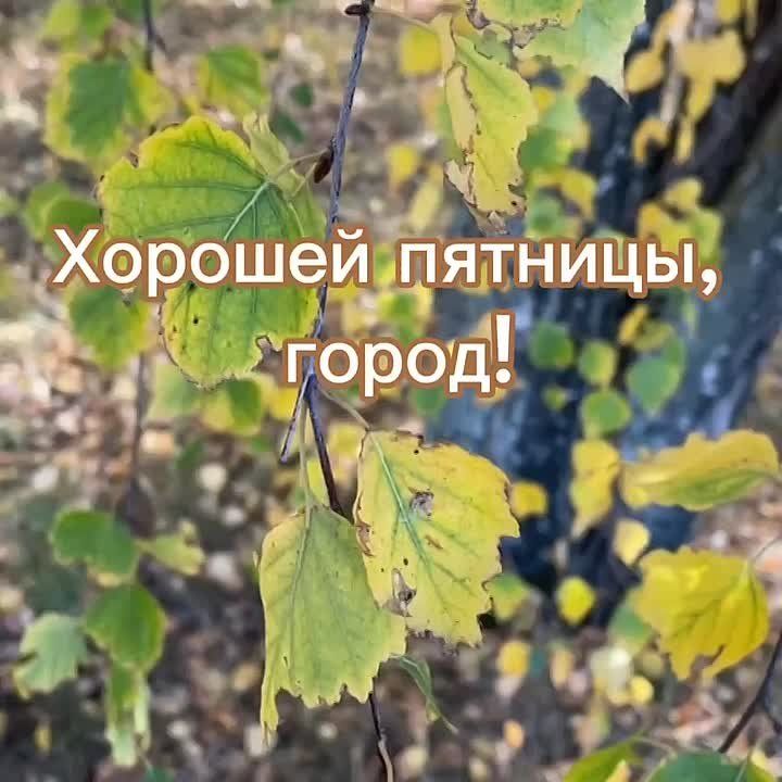     :  +6, , ...+13..., ....+9, 