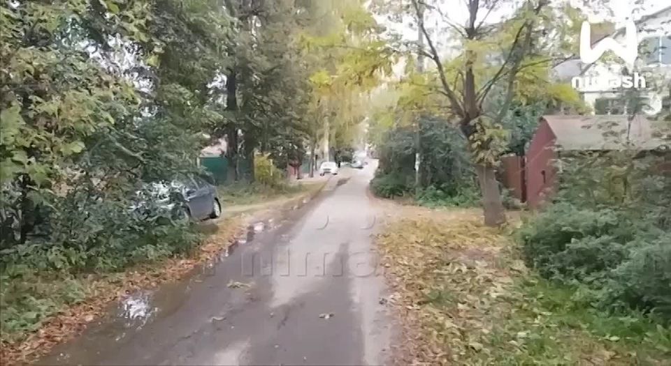           ٸ 