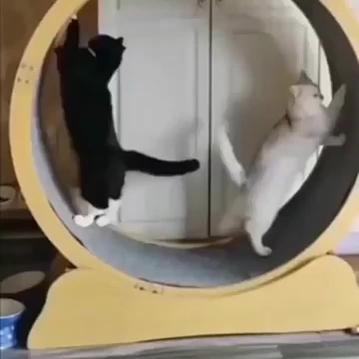  ,       ?!