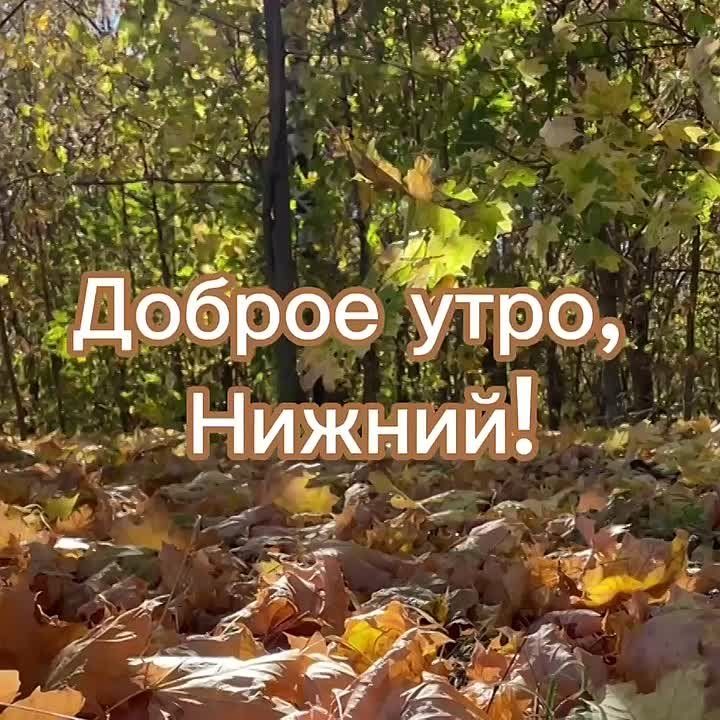     :  +9, , ...+14..., ....+10, 