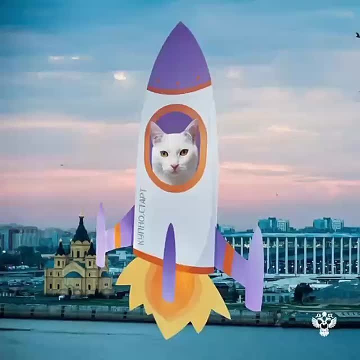        :  ,           !