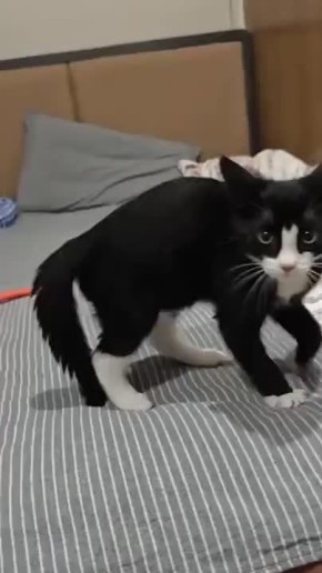     ?     