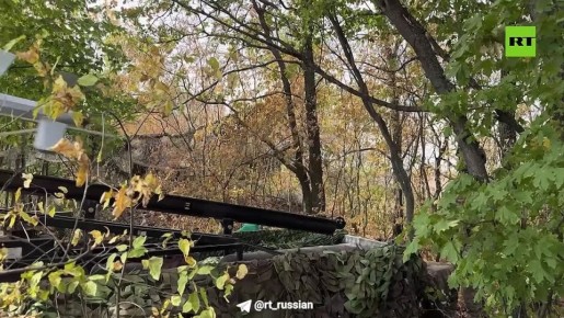  Leopard   - , ,     