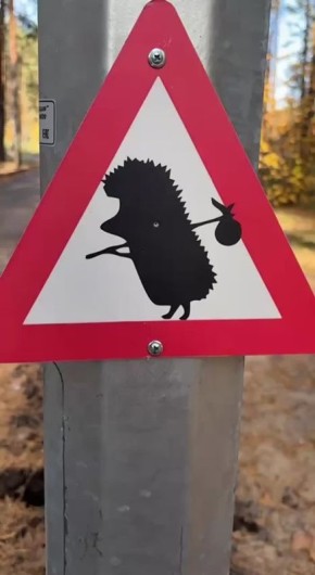       &quot;&quot;             ,     