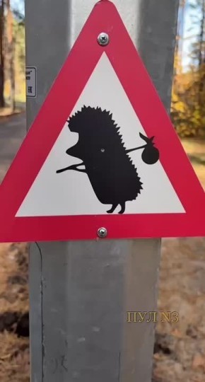    :              