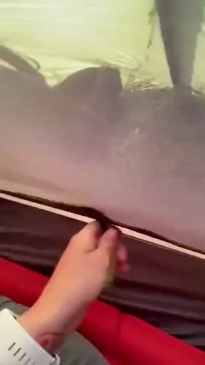  !.     