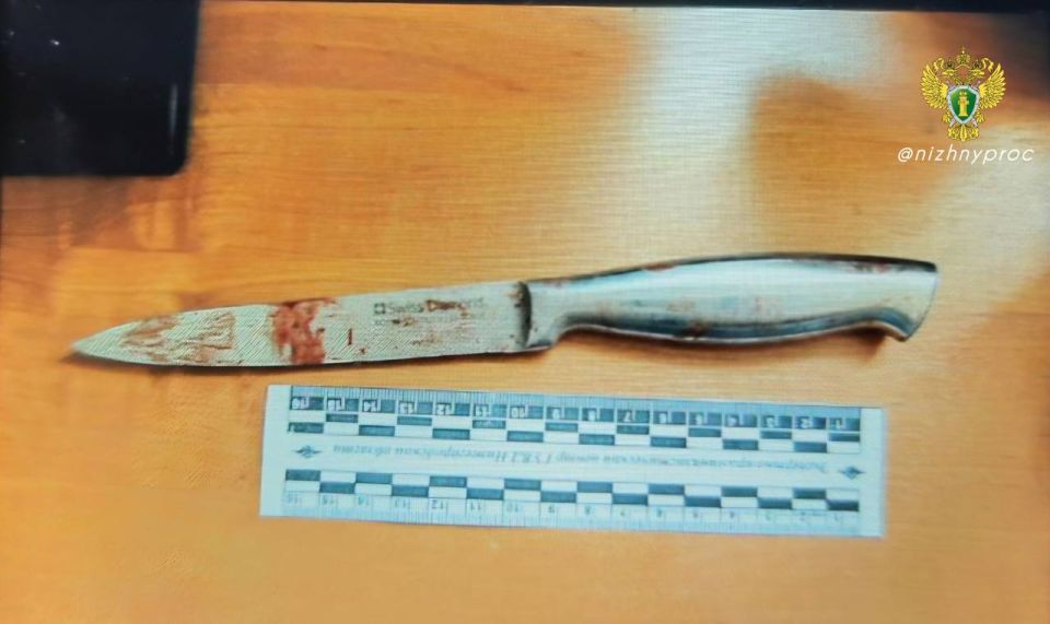 В Московском района г. Нижнего Новгорода местный житель предстанет перед судом за убийство своей супруги, совершенное на почве ревности