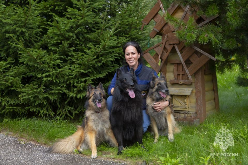 Спасибо за профессионализм!