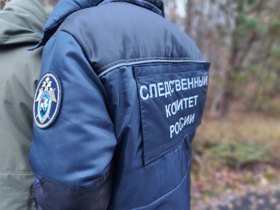 В Ардатовском районе мужчина обвиняется в убийстве знакомого