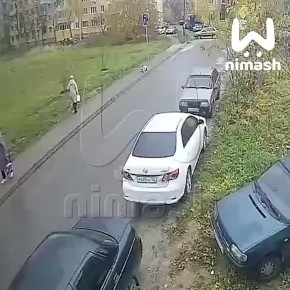 Алабай, сорвавшийся с поводка, загрыз двух йорков в Арзамасе