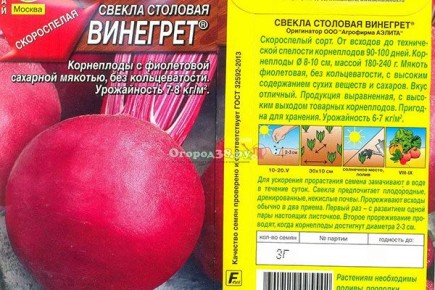 Свёкла Винегрет: секреты, особенности и уникальные характеристики популярного сорта
