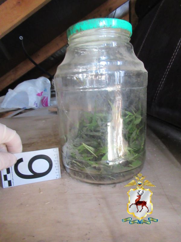 Электромонтёр из Сергача задержан полицейскими за хранение марихуаны