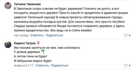 Жители Заволжья пожаловались на безжалостную рубку деревьев в одном из дворов Жители Заволжья пожаловались на безжалостную рубку деревьев в одном из дворов