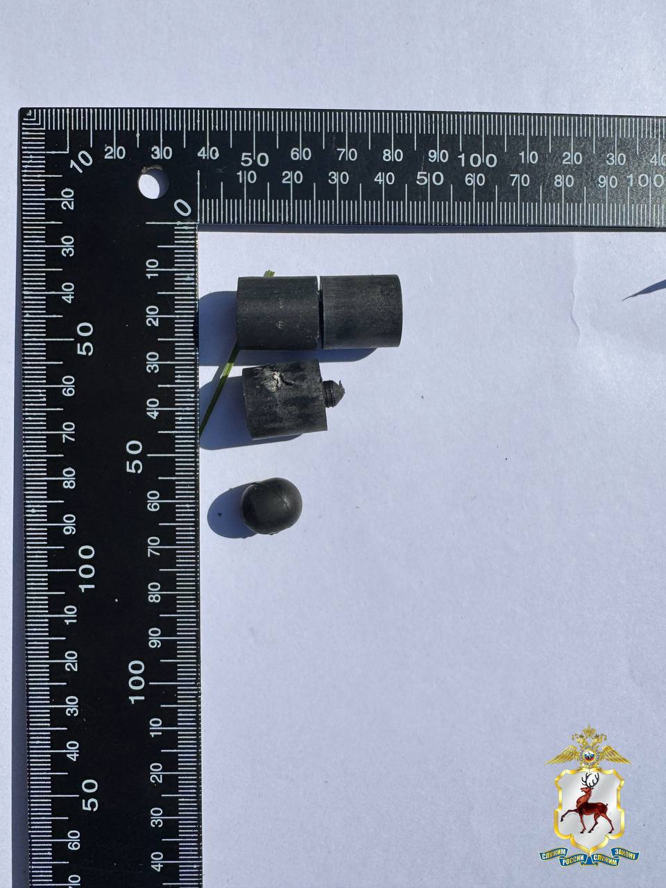 В Богородске полиция задержала подозреваемых в нападении на мужчину рядом с "Желтовским озером" В Богородске полиция задержала подозреваемых в нападении на мужчину рядом с "Желтовским озером"