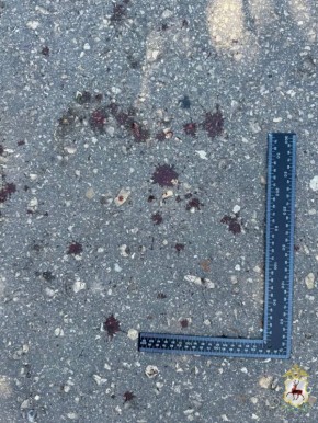 Жителя Богородска расстреляли из травмата во время прогулки
