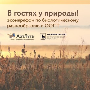 Нижегородцев приглашают присоединиться к семейному экомарафону по сохранению природного наследия «В гостях у природы»