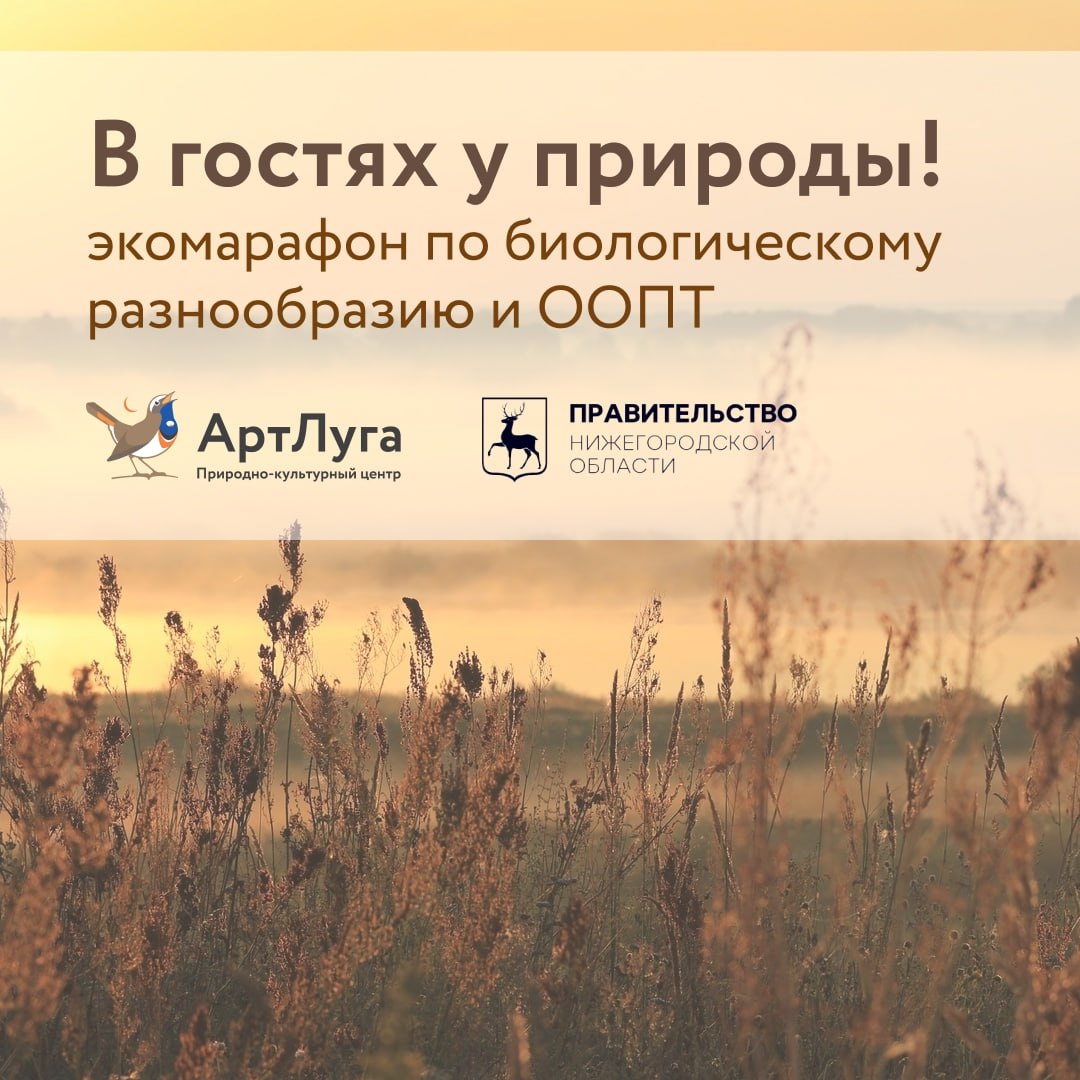 Нижегородцев приглашают присоединиться к семейному экомарафону по сохранению природного наследия «В гостях у природы»
