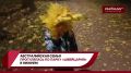 Австралийская семья Хэйр, которая переехала в Нижегородскую область, прогулялась по парку «Швейцария»